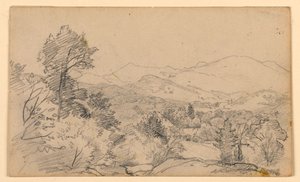 Studie van landschap