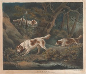 [Jacht]: Setters door William Ward