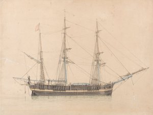 De Walvisvaarder "Truelove" van Hull door William Ward