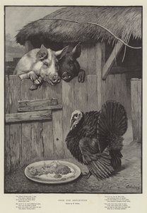 Voedsel voor Reflectie door William Weekes