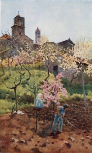 Siena. Onder de Muren