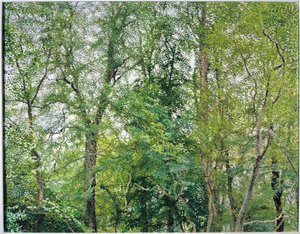 De Jubileumplantage door William Wilkins