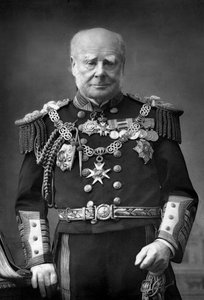Admiraal van de Vloot Sir Henry Keppel 1809-1904, 1893 door William and Daniel Downey