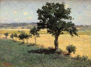 Landschap