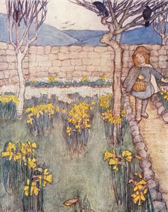 Kinderboek over Tuinieren: Narcissen