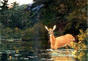 Een hinde, 1889 door Winslow Homer