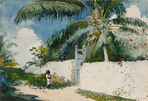 A Garden in Nassau door Winslow Homer
