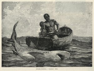 A Peddler, A Nassau Gateway, Shark-Fishing--Nassau Bar, uit The Century Magazine, februari 1887