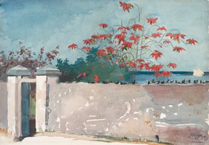 Een muur, Nassau, 1898