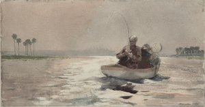 Baarsvissen - Florida door Winslow Homer