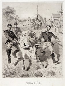 Campagne Schetsen: Foerageren