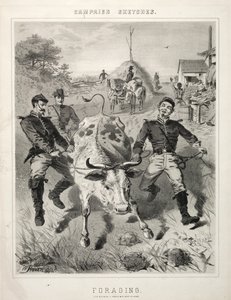 Campagneschetsen: Fourageren
