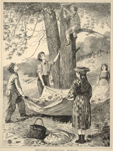 Chestnutting, uit Every Saturday: Een Geïllustreerd Tijdschrift van Keuzelezen, 29 oktober 1870 door Winslow Homer