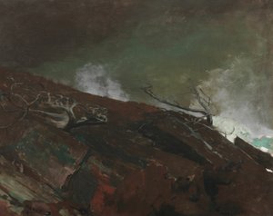 Kust van Maine door Winslow Homer