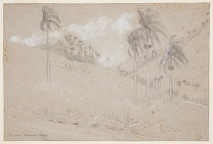 Cubaanse Heuvel door Winslow Homer
