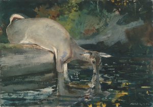 Drinkende Herten door Winslow Homer