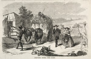 Het graan naar huis brengen, 1858 door Winslow Homer