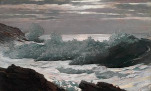 Vroege ochtend na een storm op zee door Winslow Homer