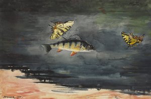 Vis en vlinders, 1900
