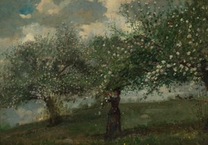 Meisje dat Appelbloesems Plukt