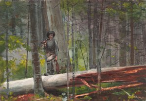  door Winslow Homer