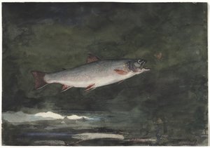  door Winslow Homer