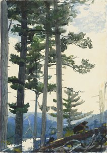 Oude kolonisten door Winslow Homer