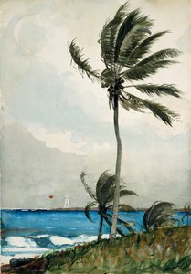 Palmboom, Nassau door Winslow Homer