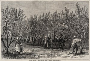  door Winslow Homer