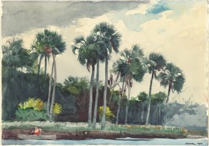 Rood Shirt, Homosassa, Florida