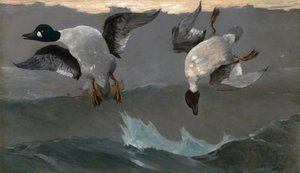  door Winslow Homer
