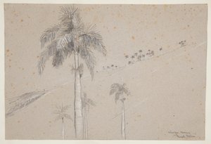 Koningspalm, Cuba door Winslow Homer