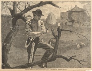 Lente boerderijwerk