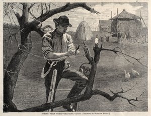  door Winslow Homer