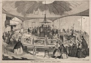 De Aquarial Gardens, Bromfield Street, Boston, 1859