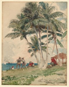 De Boekaniers, 1885