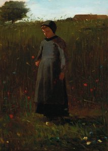 De bloemen van het veld door Winslow Homer