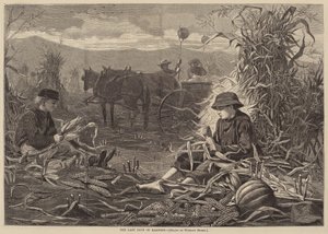 De Laatste Dagen van de Oogst door Winslow Homer