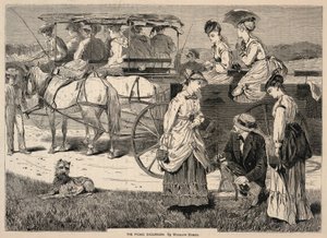 The Picnic Excursion, uit Appletons