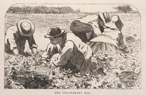 Het aardbeienbed door Winslow Homer