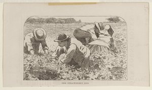 Het aardbeienbed door Winslow Homer