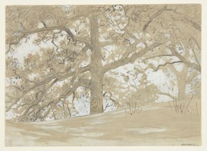 Waverly Oaks door Winslow Homer