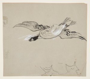 Wilde gans in vlucht