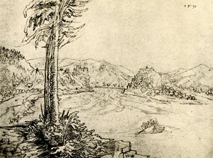 De Donau-werveling bij Grein