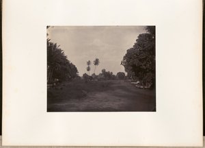 [Bestratingswerkzaamheden aan de weg in Prapatan, Batavia]. door Woodbury and Page