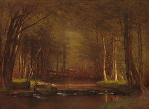 Forellenbeek in de Catskills