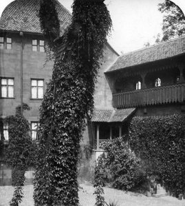 Lindeboom in een binnenplaats, Neurenberg, Beieren, Duitsland, c1900s