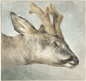 Kop van een ree door Wybrand Hendriks