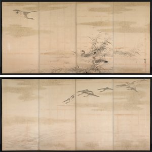 Ganzen, Riet en Water