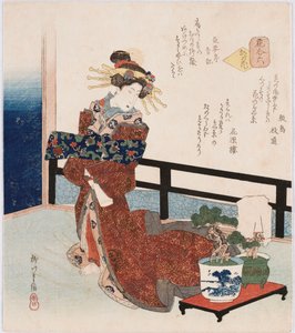 Miyako no hana "Bloem van de hoofdstad", een term die wordt gebruikt om beroemde acteurs, courtisanes of beroemdheden aan te duiden, met een illustratie van een courtisane die bij een pot dennenboom staat, met gedichten van Shikishima Edamichi, Kagenro en 